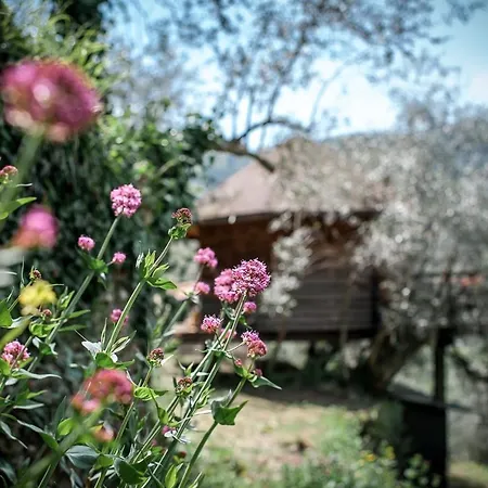Campo de lujo Intermezzo
